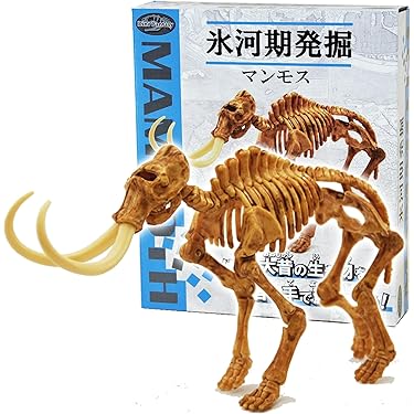 Amazon.co.jp 人気ギフトランキング: 化石・発掘の実験・科学 で