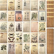 ビンテージハガキ 61zdqVNYP9L.jpg