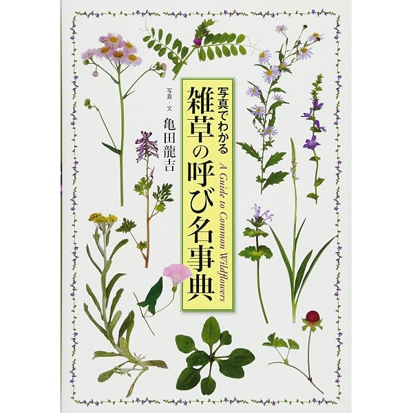 四季の散歩が楽しくなる ［決定版］雑草・山野草の呼び名事典 | 亀田
