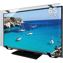 テレビ 保護パネル 65インチ 反射防止&ブルーライトカット 65型対応 81PCnLNrZWL._AC_UL210_SR210,