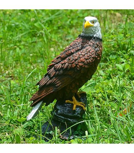 Amazon.co.jp: 猛禽類最強 鷲 ワシ 鷹 置物 ミスターイーグル 防鳥