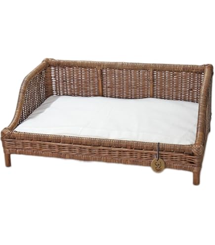 Amazon.co.jp: シンシアジャパン ラタンマッシュルーム ブラウン