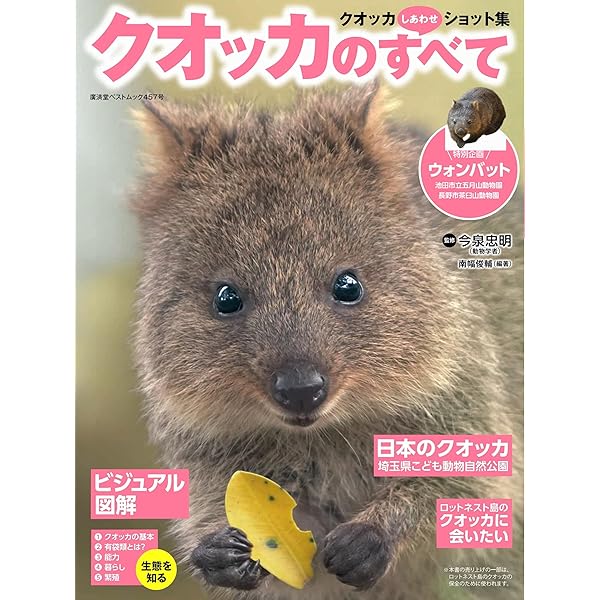 Amazon.co.jp: クアッカワラビーと心の冒険に出かけよう : 橋立 拓也