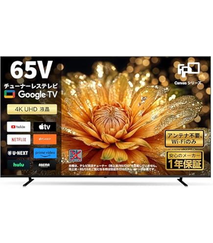 Amazon | FPD チューナーレステレビ 55V型 4K Google TV ネット動画