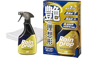 SOFT99 (ソフト99) 洗車用品 レインドロップ ゴールドグロス 自動車用 ボディ ガラス コーティング剤 マイクロファイバークロス付き 強力撥水 400ml 00539
