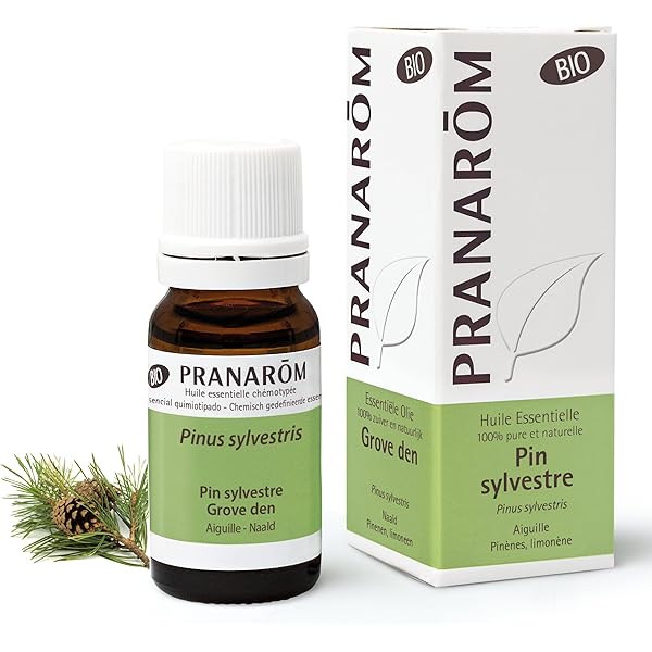 Amazon.co.jp: プラナロム ブラックスプルース BIO 10ml （PRANAROM 