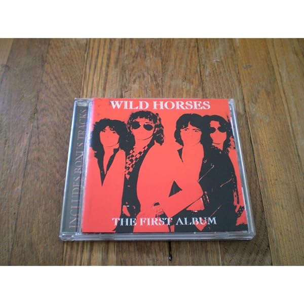 Amazon.co.jp: Stand Your Ground [from UK]: ミュージック