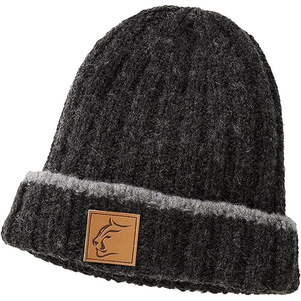 Amazon.co.jp: Arc'teryx Mallow Toque Smoke Bluff Free Size