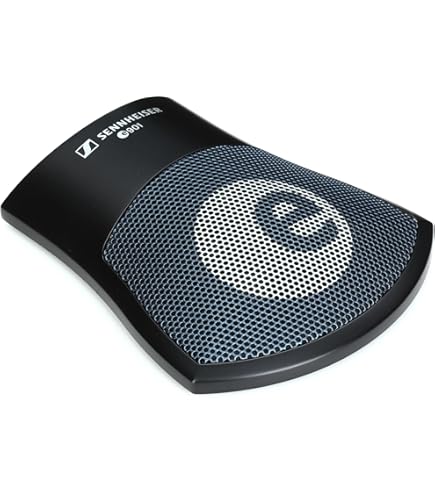 Amazon.co.jp: SE ELECTRONICS BL8 カーディオイド境界マイク EQ