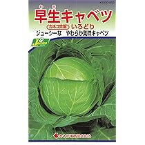Amazon | カネコ種苗 園芸・種 KS300シリーズ 早生キャベツ