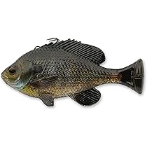 81Ph6p04ErL._AC_UL210_SR210,