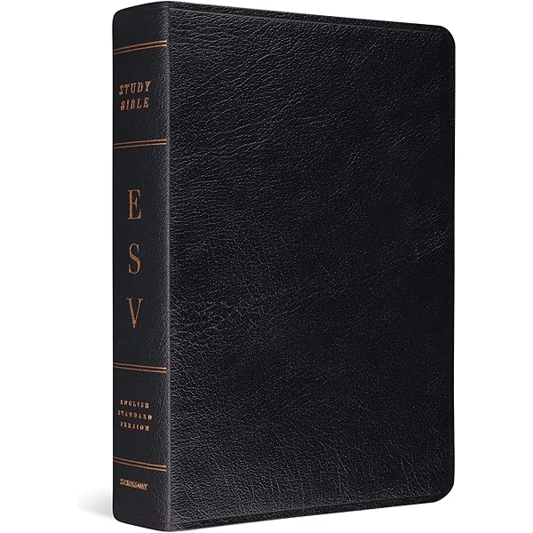 Amazon.co.jp: Holy Bible - English Standard Version