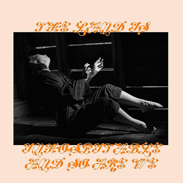 Amazon.co.jp: Bury Me At Makeout Creek: ミュージック
