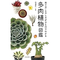 81Po7wgVVvL._AC_UL210_SR210,