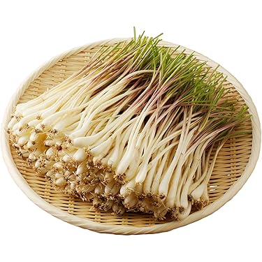 鹿児島県産 新鮮 らっきょう 10kg 鳥取 に次ぐ生産量255 楽天市場】らっきょう 10kgの通販