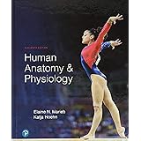 Human Anatomy & Physiology