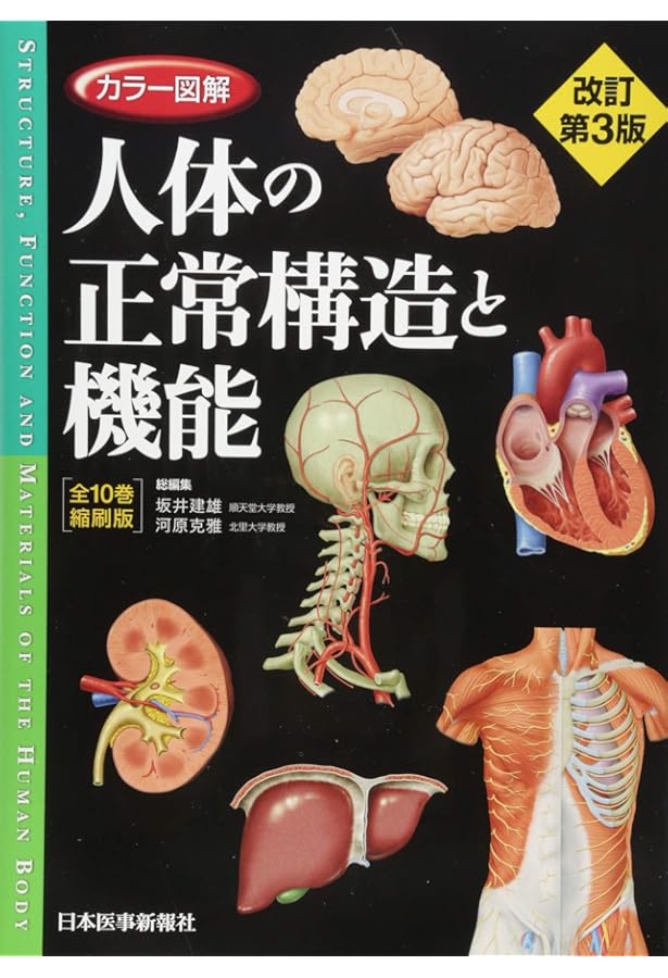 人体の正常構造と機能 第5版 全10巻縮刷版 電子版使用不可 カラー図解 人体の正常構造と機能 【全10巻縮刷版】 改訂第5版 | 坂井