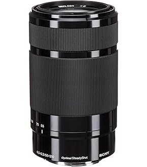 Amazon | SONY ミラーレス一眼カメラ α NEX-7 ボディ ブラック