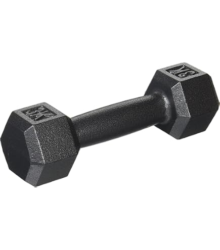 Amazon | ダンノ(DANNO) クロームアレー 1kg D380 | DANNO(ダンノ