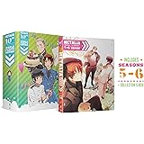 Hetalia - 10Th Anniversary World Party Collection 2: Seasons Five AndSix [DVD]