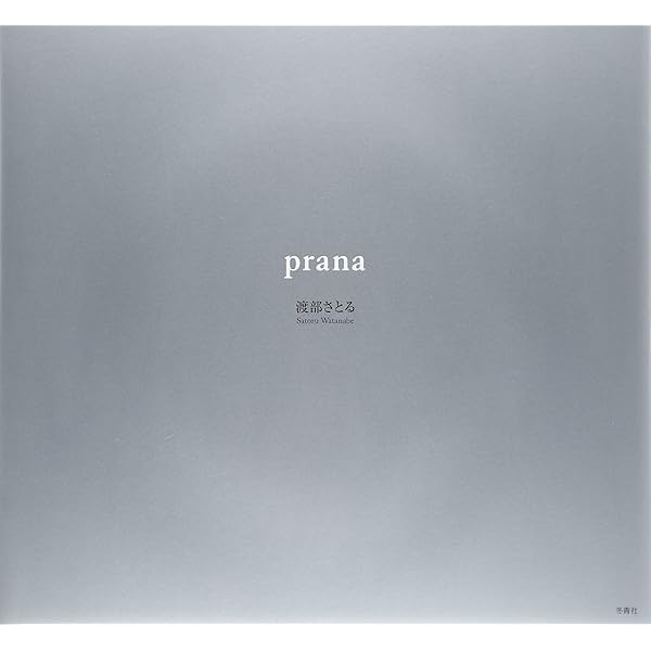 Amazon.co.jp: da.gasita : 渡部 さとる: 本