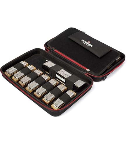 Amazon.co.jp: HOHNER SPECIAL 20/Eフラット スペシャル20 10