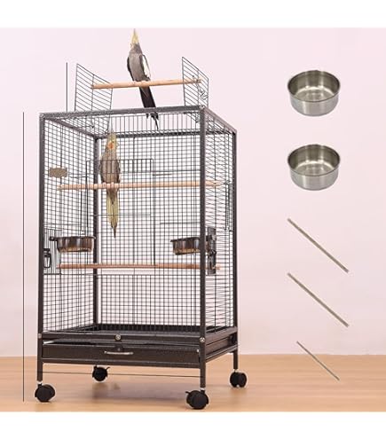Amazon | LOOPFKL 鳥かご 大型 鳥かご インコ ク リアアクリル 鳥籠