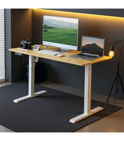 Amazon | Radlove パソコンデスク 電動昇降式 デスク 幅120CM×奥行60CM