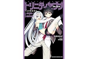 トリニティセブン　7人の魔書使い The Novel　聖なる巫女と八番目の書庫 トリニティセブン　７人の魔書使い　Ｔｈｅ　Ｎｏｖｅｌ (ドラゴンコミックスエイジ)