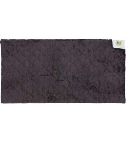 Amazon | パナソニック ねころんぼ(ホットマット) ブラウン DC-SN10F-T