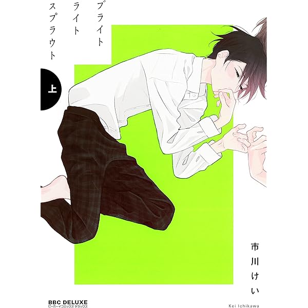 市川けい 画業10周年ファンブック 「K」 【初回限定小冊子付特装版