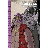 Teenage Mutant Ninja Turtles: The IDW Collection Volume 8 (TMNT IDW Collection)