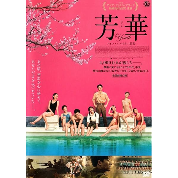 迫り来る嵐 DVD ドアン・イーホン (出演), ジャン・イーイェン (出演), ドン・ユエ (監督) Amazon.co.jp: 迫り来る嵐 [DVD] : ドアン・イーホン, ジャン