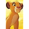 シンバ (Simba) ディズニー - シンバ (Simba) FVGA(480×800)壁紙 328743