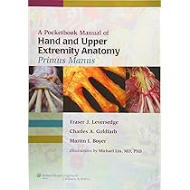 GREEN'S OPERATIVE HAND SURGERY 第6版 2巻セット Green's Operative Hand Surgery: 2-Volume Set by Anna Green