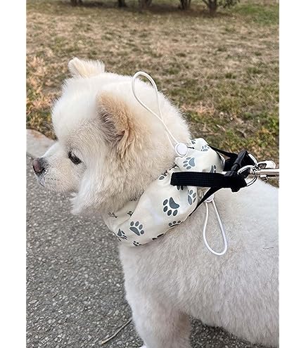 Amazon | Bucci Boo クールリング 犬 ネッククーラー 暑さ対策 冷え