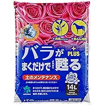 81Qa6rEugwL._AC_UL210_SR210,