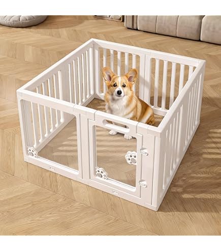 Amazon | トムキャット 8面サークル DTC48 高さ122cm | トムキャット