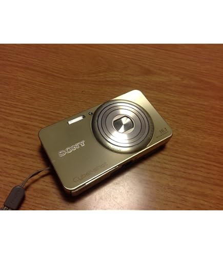 Amazon.co.jp: SONY Cyber-Shot(サイバーショット) WX100 (1820万/光学