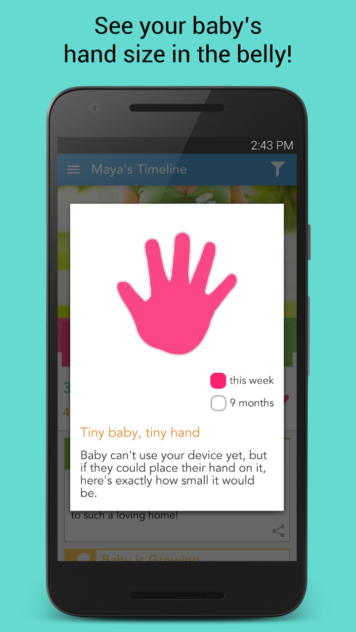 ovia pregnancy app baby size