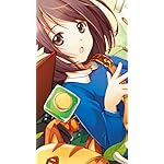 ポーション、わが身を助ける XFVGA(480×854)壁紙 カエデ