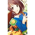 ポーション、わが身を助ける QHD(540×960)壁紙 カエデ