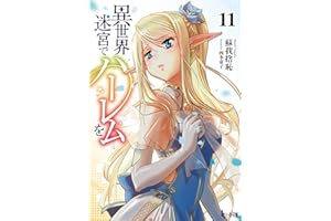 異世界迷宮でハーレムを　１１ (ヒーロー文庫)