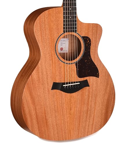 Amazon | Taylor 112ce-S テイラー グランドコンサート エレアコ