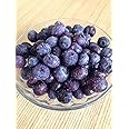 【国産 無選別】 冷凍ブルーベリー 500g×2 計1Kg