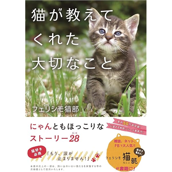 しあわせになった猫 しあわせをくれた猫 | 佐竹 茉莉子 |本
