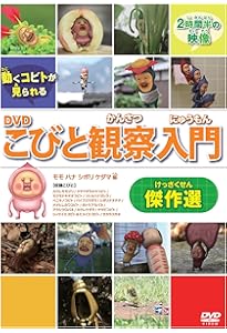 Amazon.co.jp: DVDこびと観察入門 傑作選 マモリ カブト ユキオト