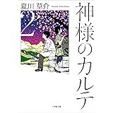 神様のカルテ２ (小学館文庫)