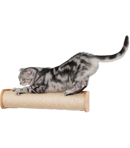 Amazon | MYZOO マイズー LACK キャットステップセット キャット