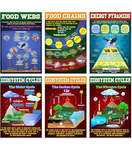 EggSun 16 Pcs Ecosystems Science Posters For High School